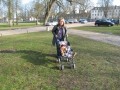 Parc de Rambouillet - 003 * 1024 x 768 * (251KB)